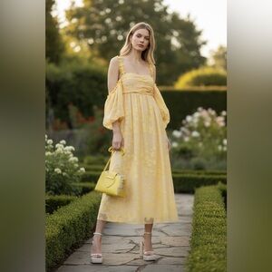 Hoffman Copenhagen Irina Dress Msrp$619 Size 36/Small